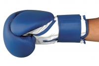 Fitness Boxing Gloves