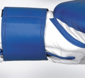 Fitness Boxing Gloves