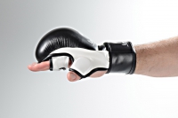 LEGION OCTAGON MMA Gloves Training